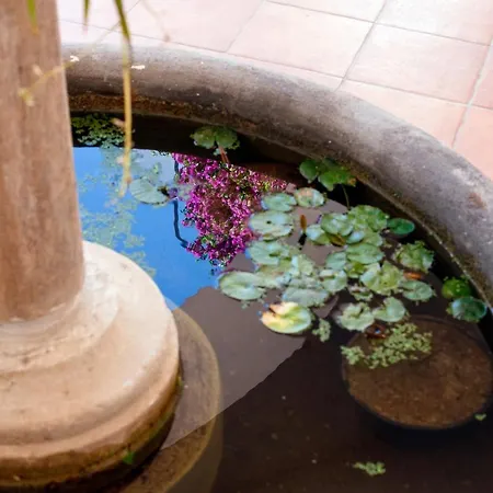 Estate4home - Field Positano