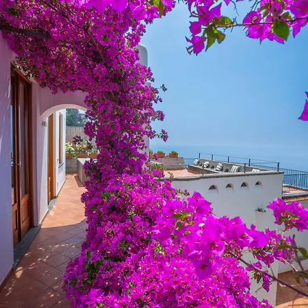 Estate4home - Field * Positano