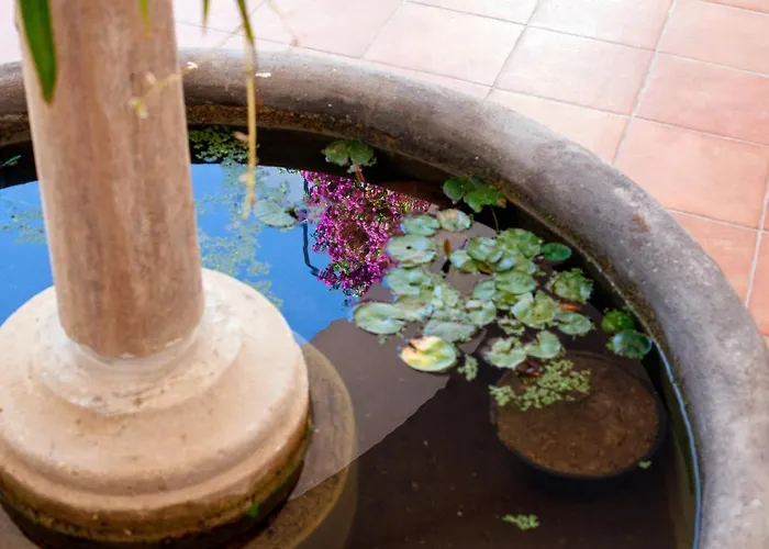 Estate4home - Field بوسيتانو